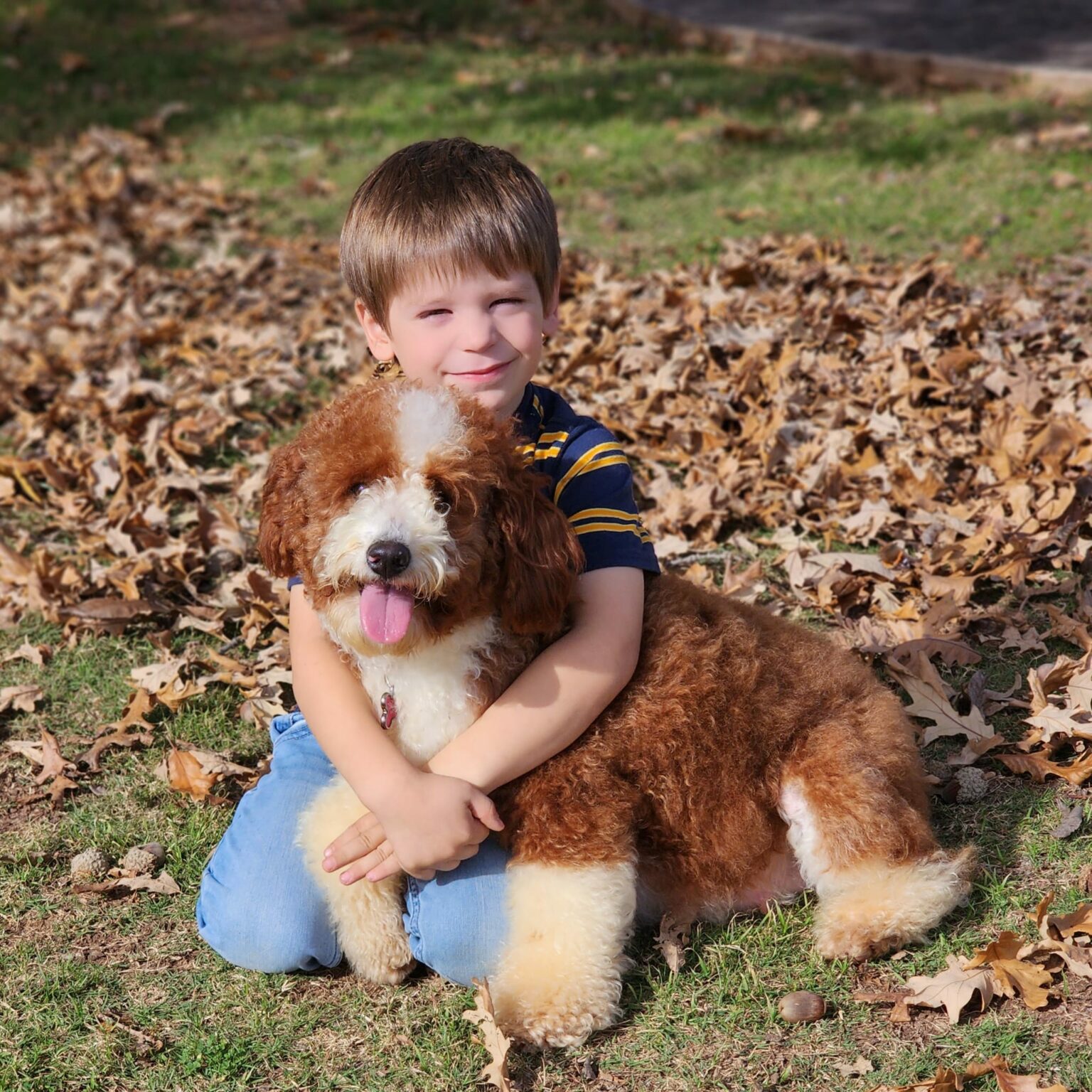 A father and daughter sitting outdoors with a doodle puppy.