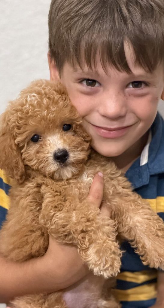 A young woman holding a black-and-tan doodle puppy.