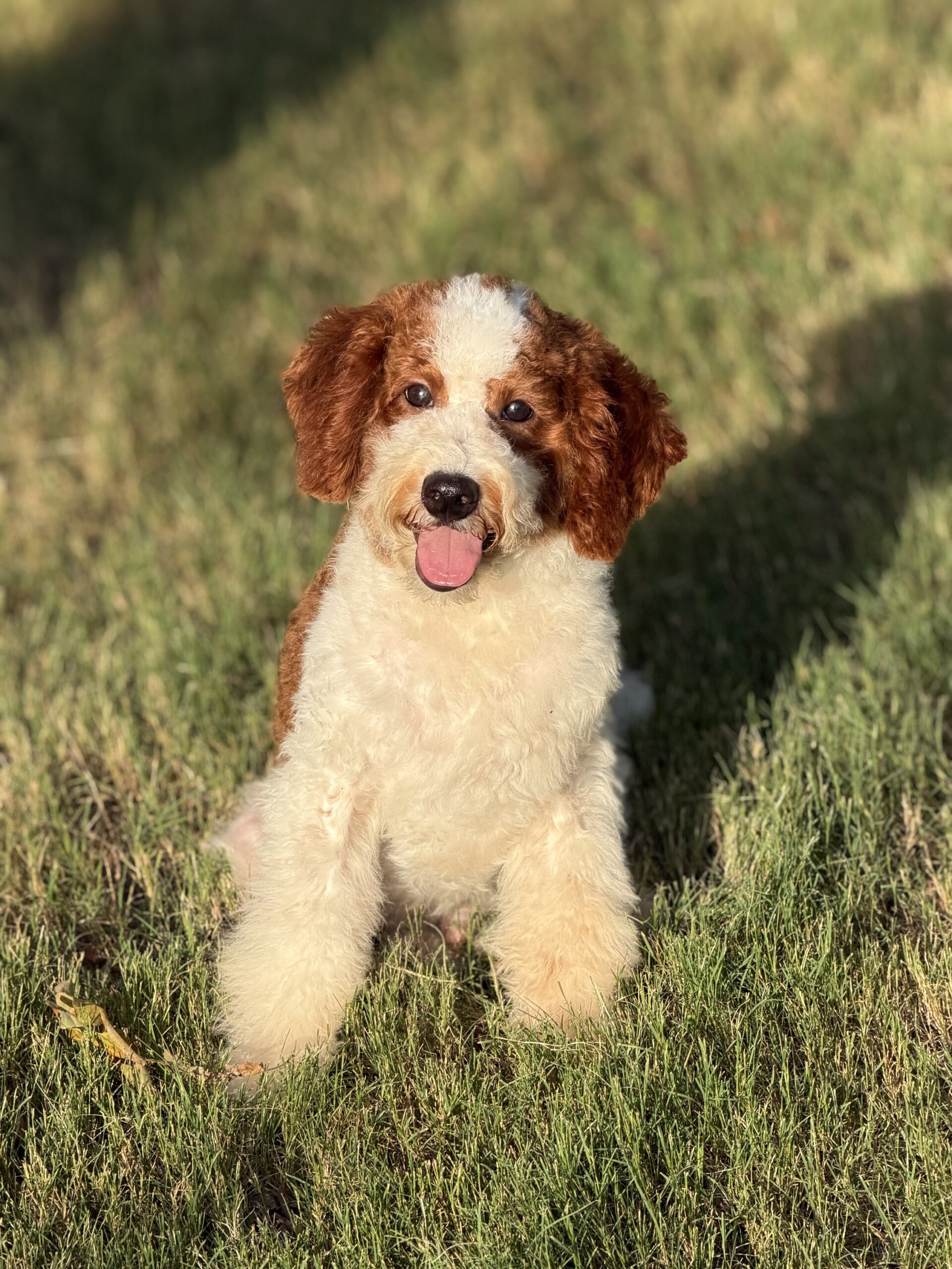 Theo - Image 5