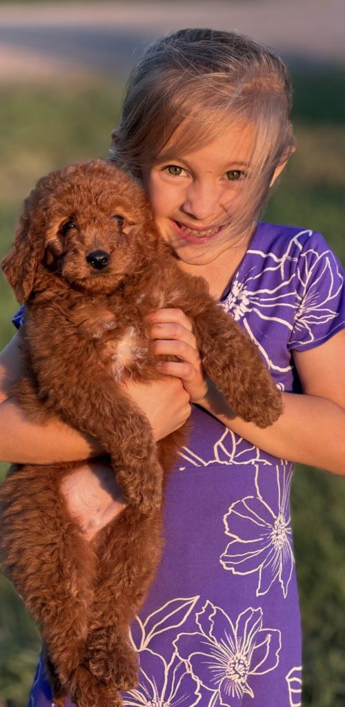 A father and daughter posing outdoors with a red-golden doodle puppy.