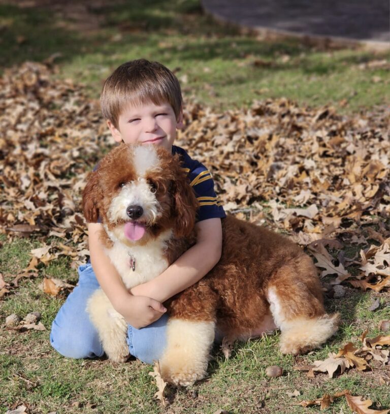 Theo - Image 2